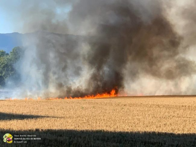 Incendie Champs