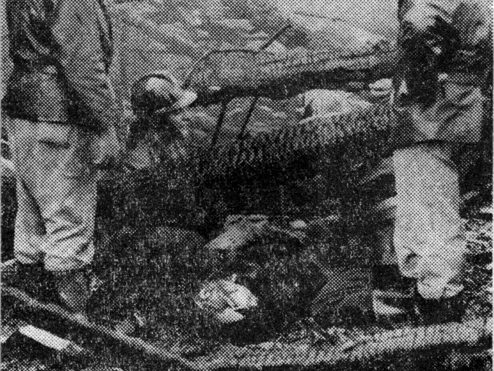 Incendie - 1974 - Dépot Rue Cardinal Journet