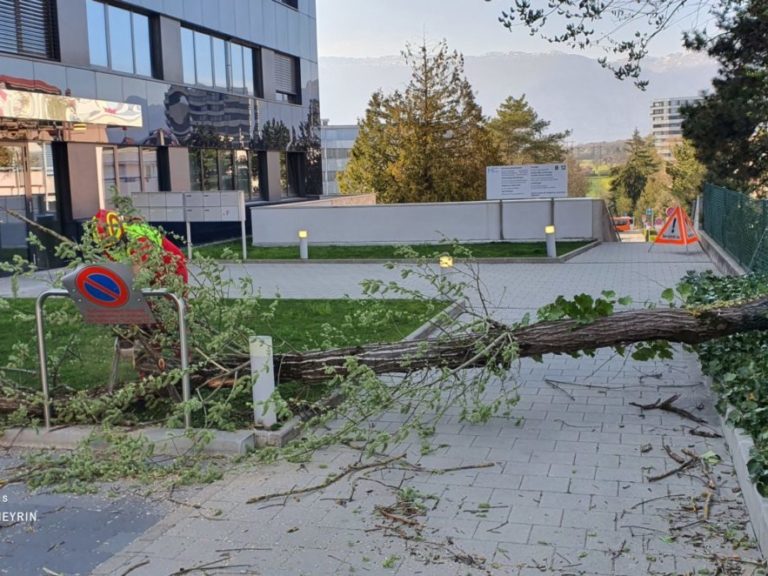 Intervention 03.04.2021