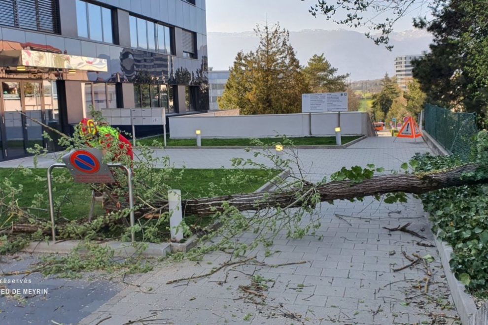 Intervention 03.04.2021